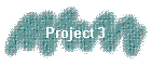 Project 3